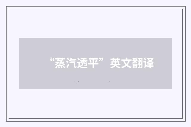 “蒸汽透平”英文翻译