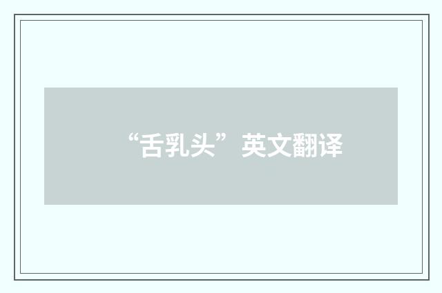 “舌乳头”英文翻译