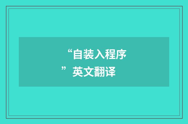 “自装入程序”英文翻译