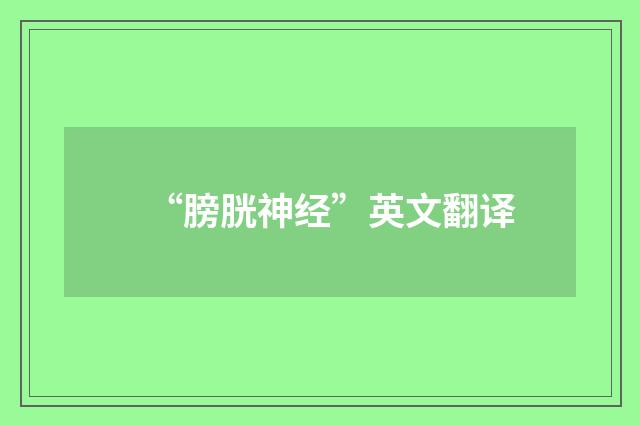 “膀胱神经”英文翻译