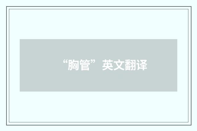 “胸管”英文翻译