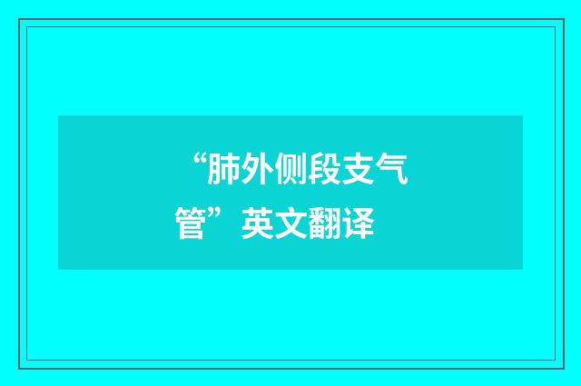“肺外侧段支气管”英文翻译
