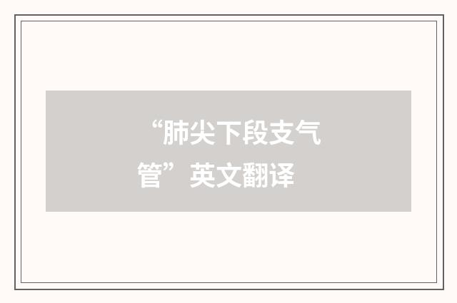 “肺尖下段支气管”英文翻译