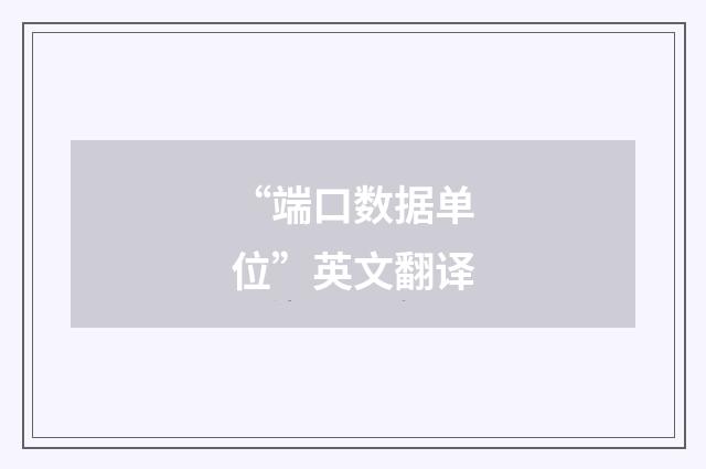 “端口数据单位”英文翻译