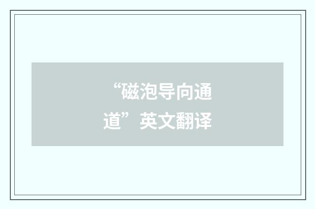 “磁泡导向通道”英文翻译