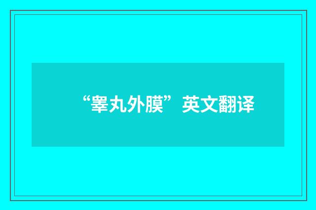 “睾丸外膜”英文翻译