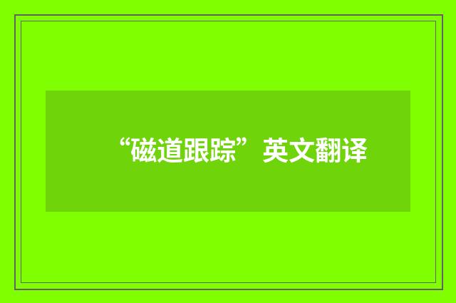 “磁道跟踪”英文翻译