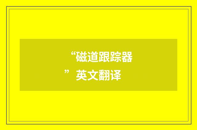 “磁道跟踪器”英文翻译