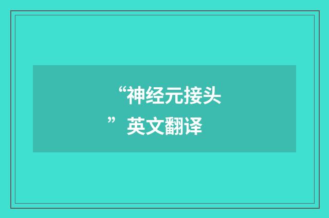 “神经元接头”英文翻译