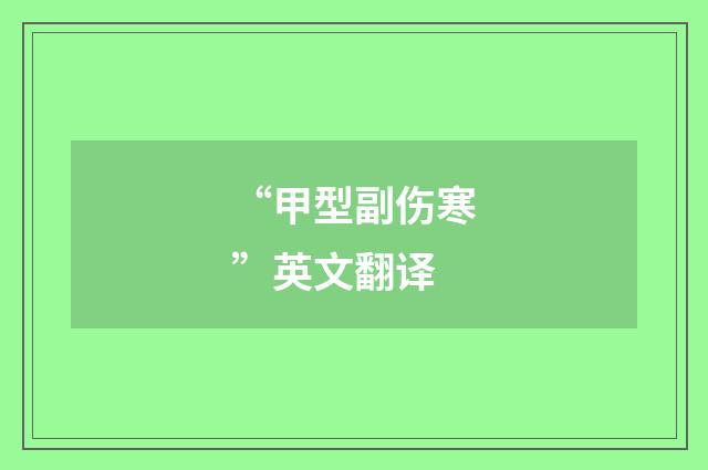 “甲型副伤寒”英文翻译