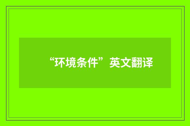“环境条件”英文翻译