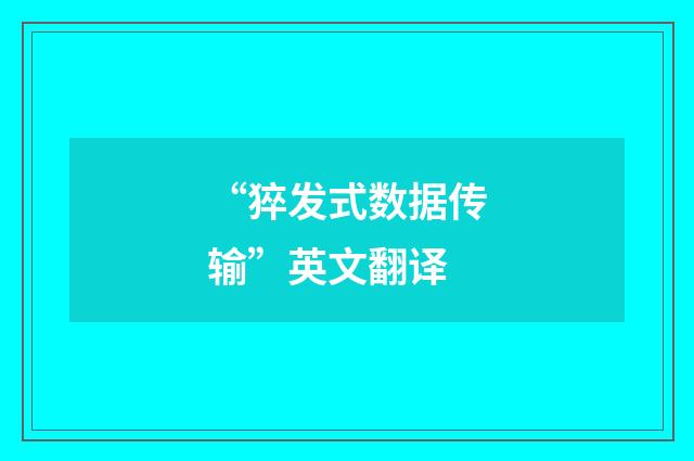 “猝发式数据传输”英文翻译