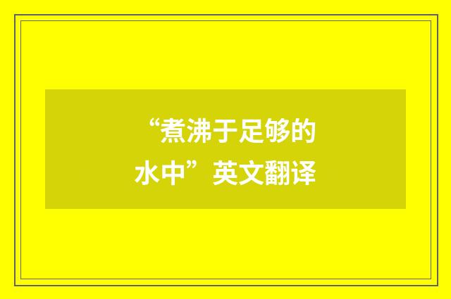 “煮沸于足够的水中”英文翻译