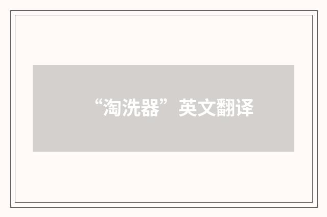“淘洗器”英文翻译