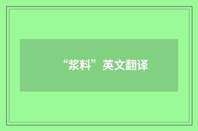 “浆料”英文翻译