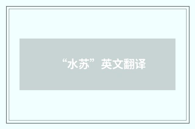“水苏”英文翻译