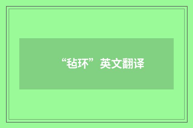 “毡环”英文翻译