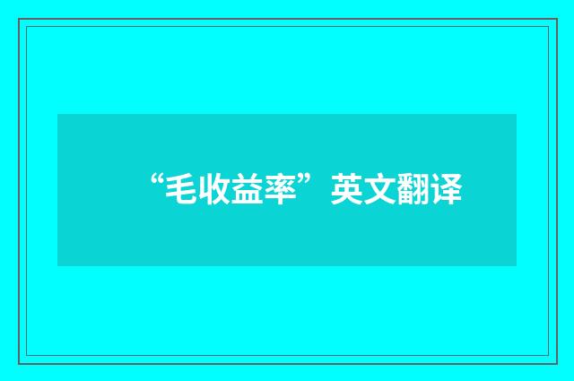 “毛收益率”英文翻译