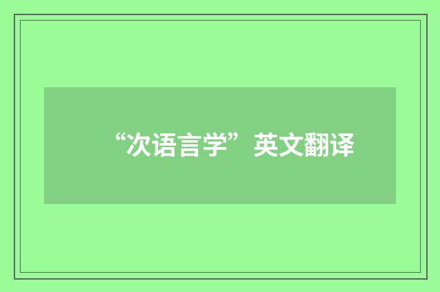 “次语言学”英文翻译