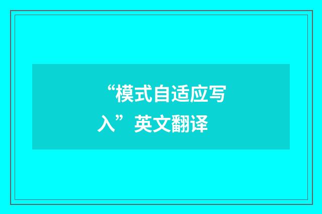 “模式自适应写入”英文翻译