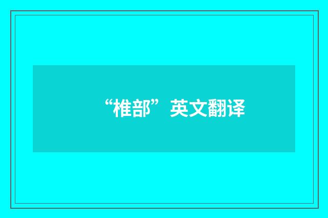 “椎部”英文翻译