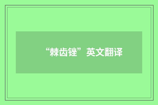 “棘齿锉”英文翻译