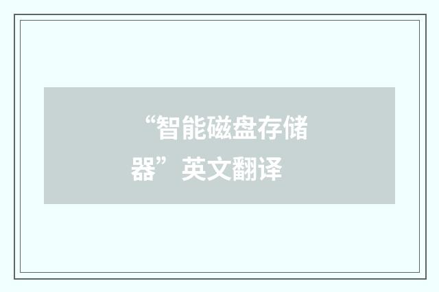 “智能磁盘存储器”英文翻译