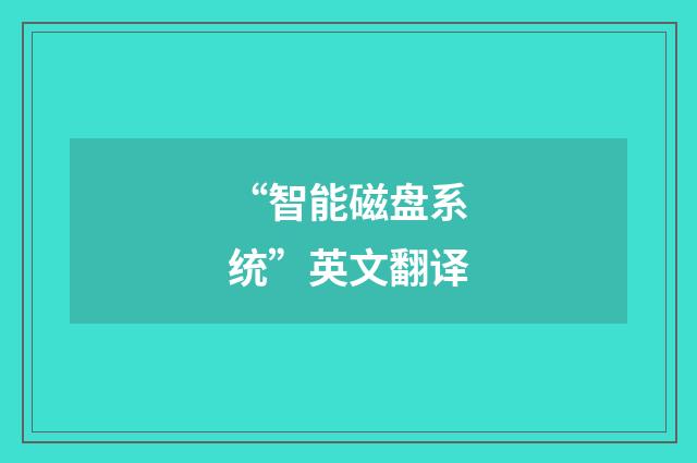 “智能磁盘系统”英文翻译