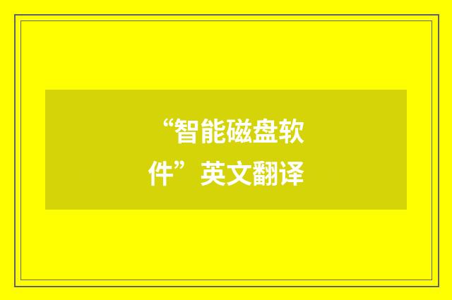 “智能磁盘软件”英文翻译