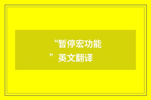 “暂停宏功能”英文翻译