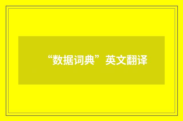 “数据词典”英文翻译