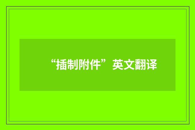 “插制附件”英文翻译