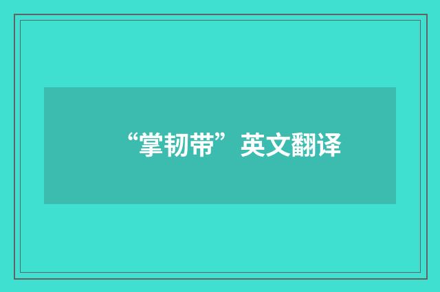 “掌韧带”英文翻译