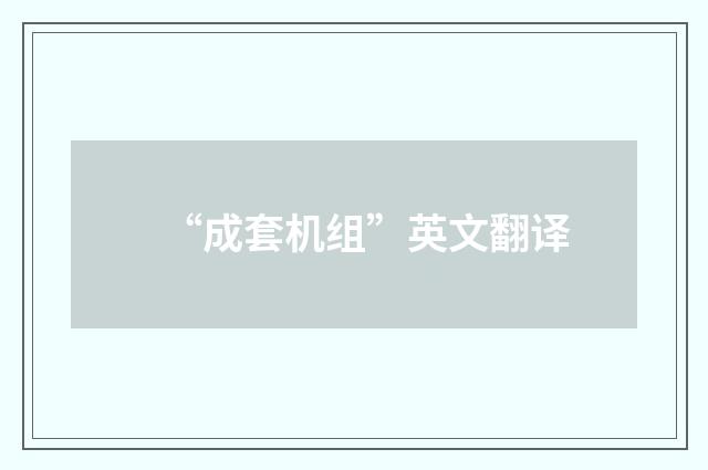 “成套机组”英文翻译