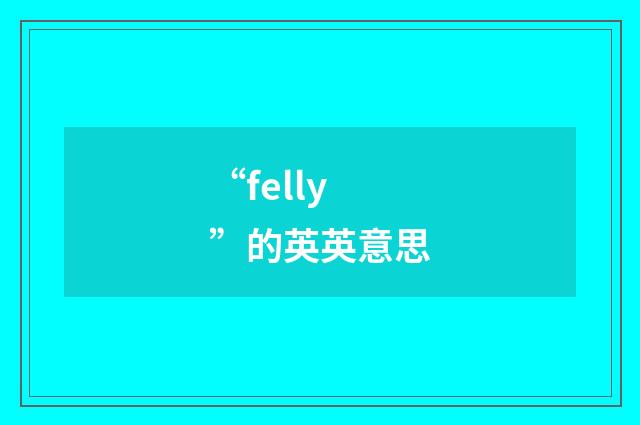 “felly”的英英意思