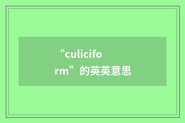 “culiciform”的英英意思