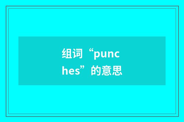组词“punches”的意思