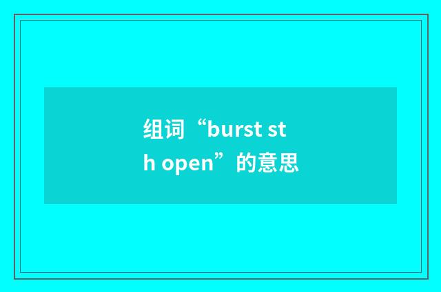 组词“burst sth open”的意思