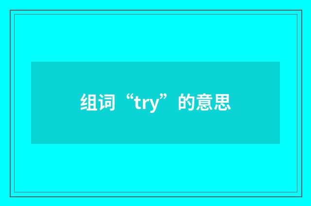 组词“try”的意思