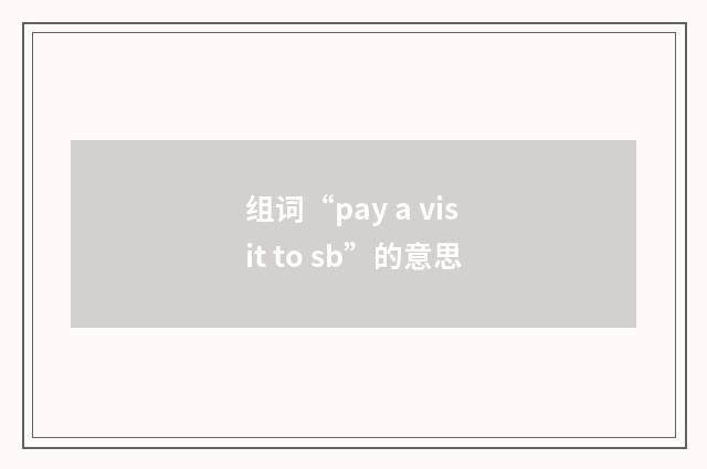 组词“pay a visit to sb”的意思
