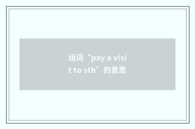 组词“pay a visit to sth”的意思