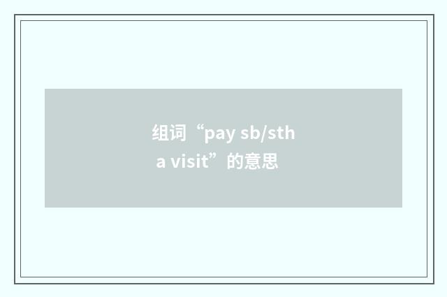 组词“pay sb/sth a visit”的意思