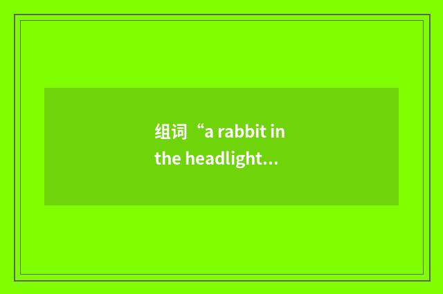 组词“a rabbit in the headlights”的意思
