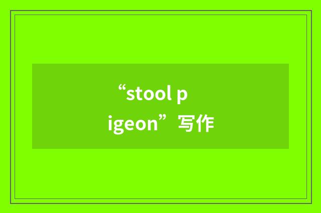 “stool pigeon”写作