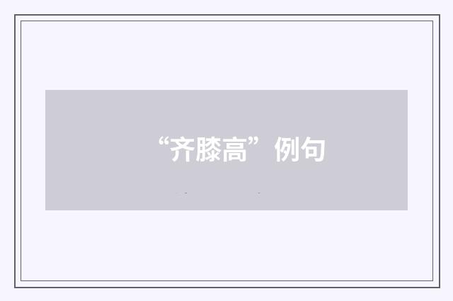 “齐膝高”例句