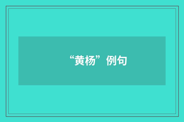 “黄杨”例句