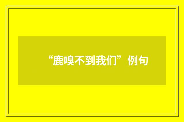 “鹿嗅不到我们”例句