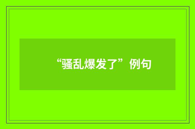 “骚乱爆发了”例句