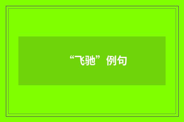 “飞驰”例句