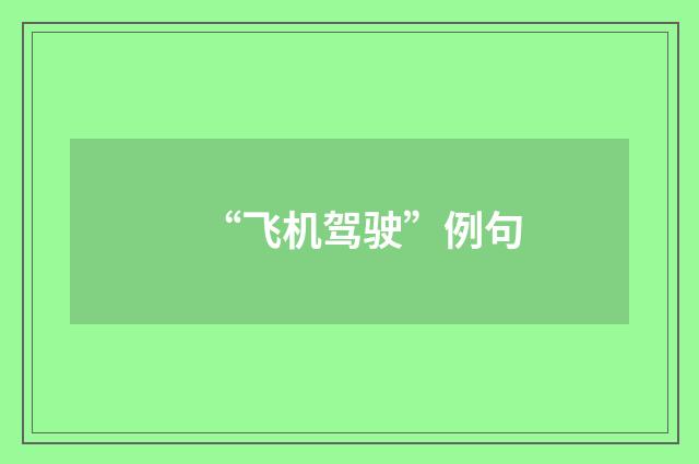 “飞机驾驶”例句